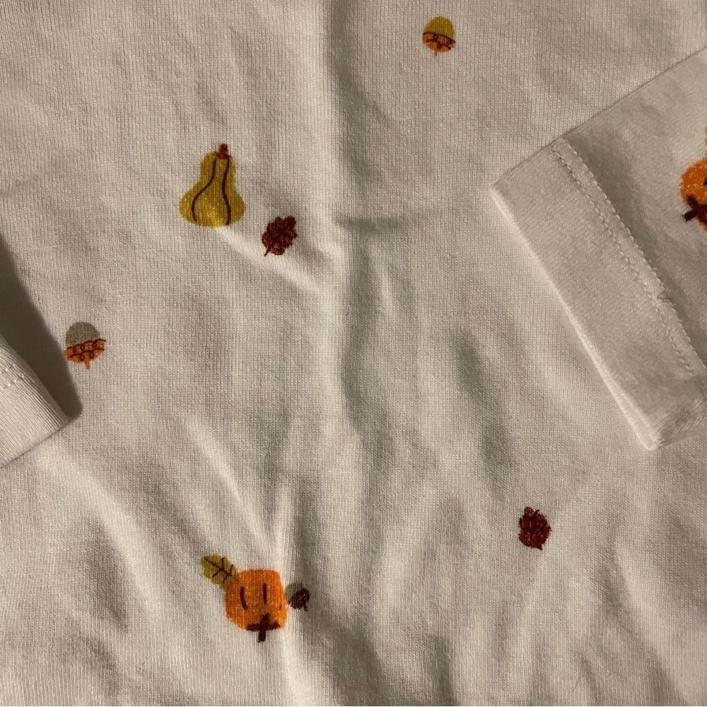 Carter’s | Brown/White Baby 3-Piece Thanksgiving Outfit Set | 6 mo - Picture 6 of 9